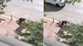 Yolda gördüğü husumetlisini bıçakla katletti! Kanlar içinde yere yığıldı...