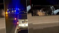 Katliam gibi kaza! Otomobil ile cip kafa kafaya birbirine girdi: Çok sayıda ölü var