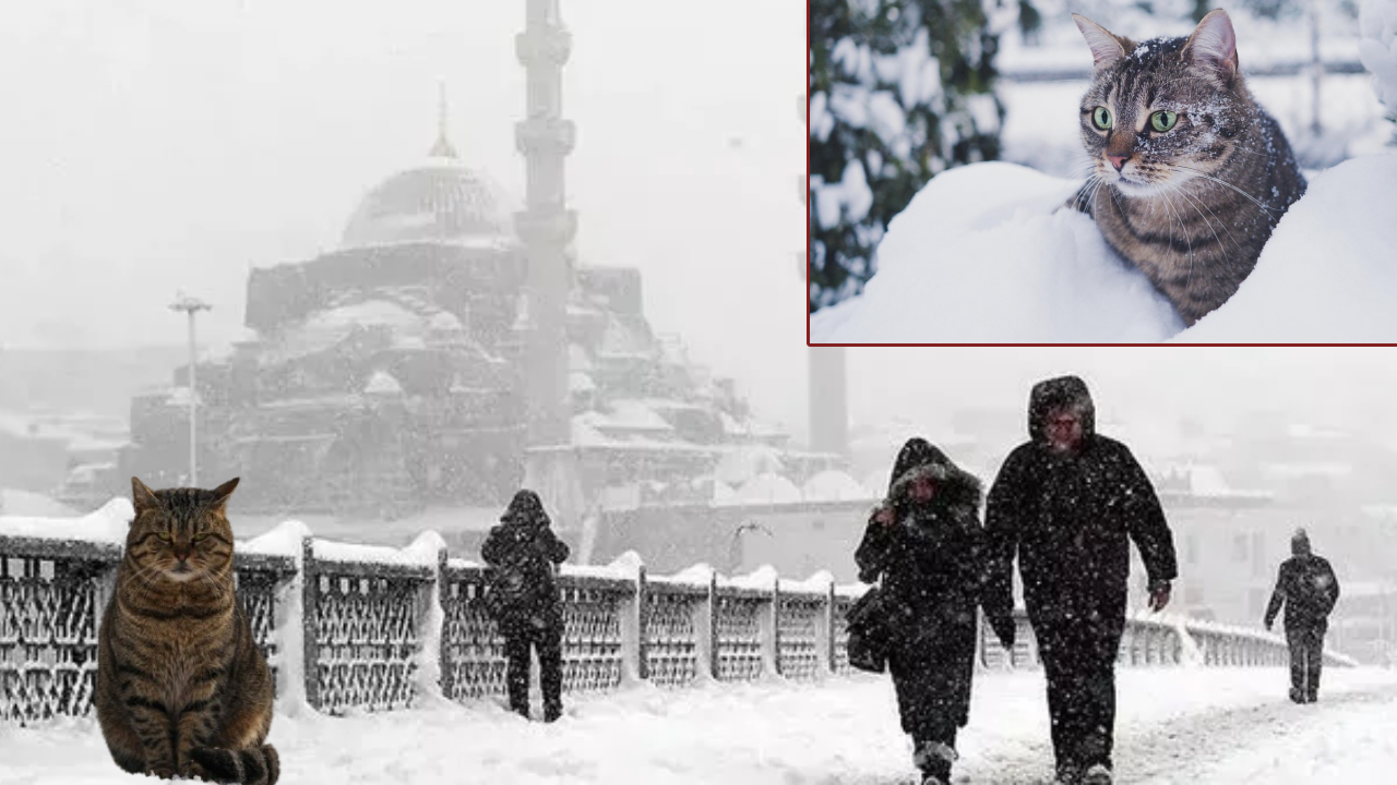 İstanbul’da kar yağışı hızlanarak devam edecek: Okular tatil olacak mı? Yeni açıklama geldi