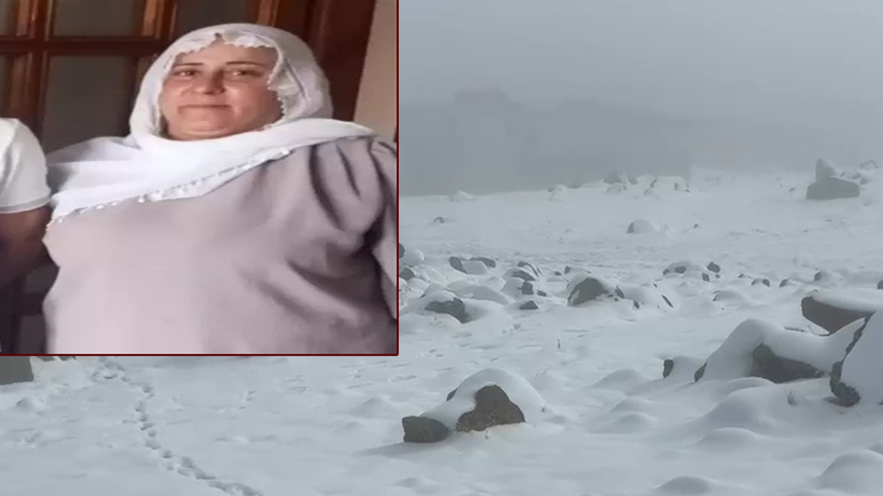 Günlerdir aranıyor...  2 çocuk annesi nereye kayboldu?