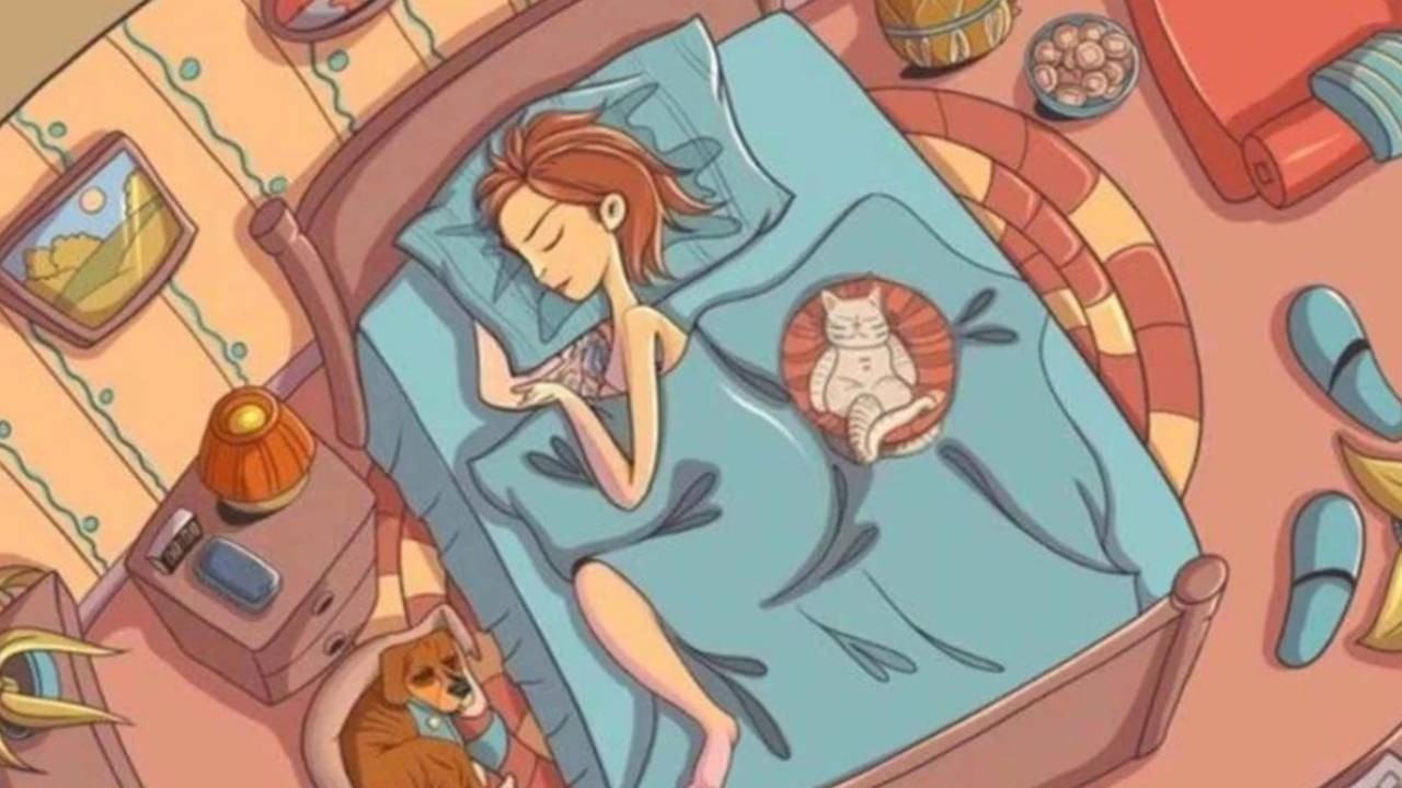 Sadece dahi insanların çözebildiği o test ortaya çıktı! Sadece 9 saniyeniz var