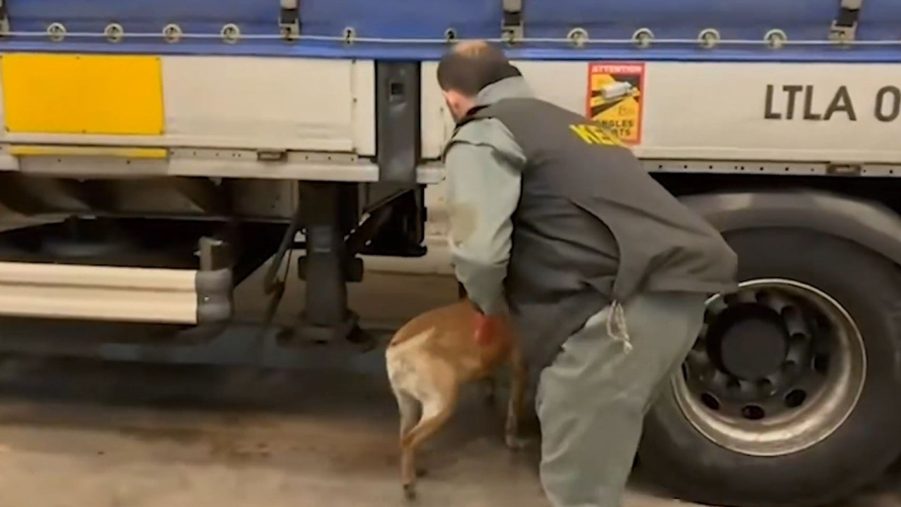 Edirne'de dev operasyon! 240 kilo ele geçirildi