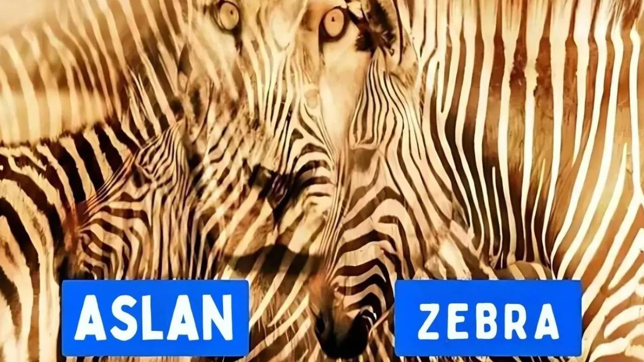 Utangaç mısın yoksa sosyal bir kelebek mi?