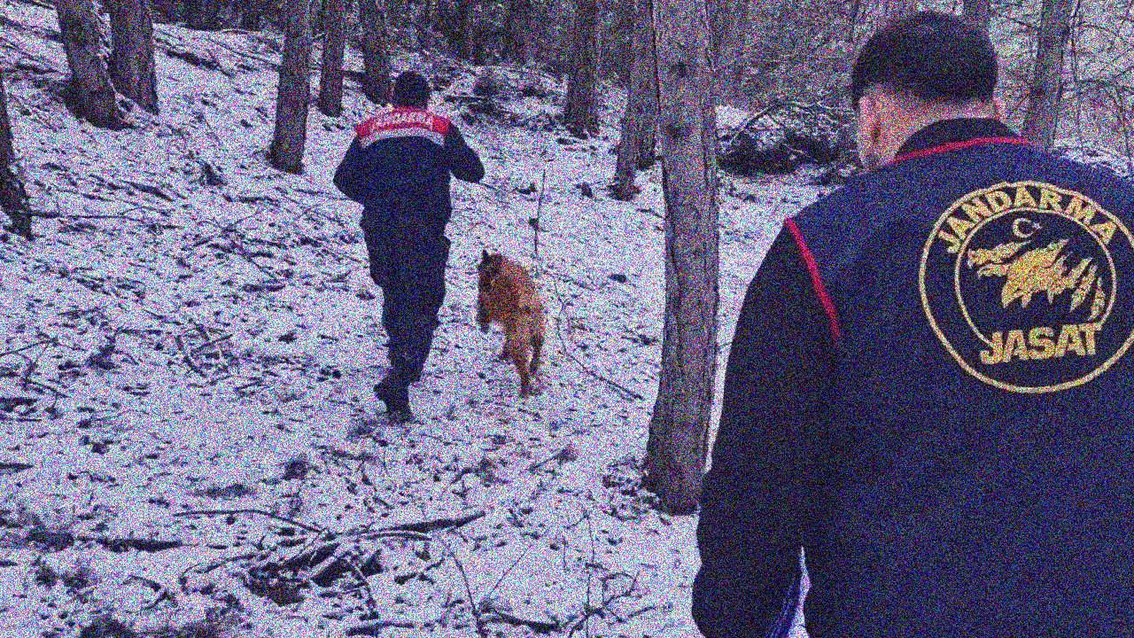 Tüyler ürperten olayda sır perdesi aralandı! Ormanda bulunan kafatası ve kemikler 2 kadına ait