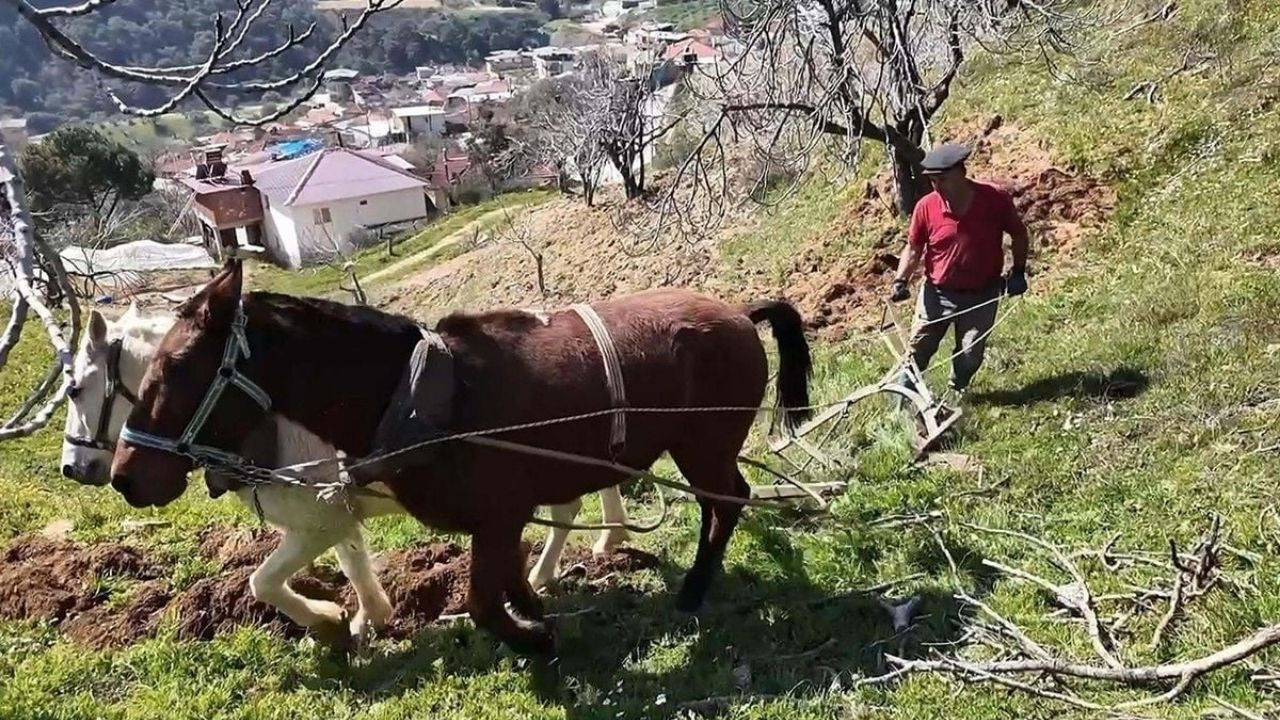 Bu işi yapan aylık 240 bin TL kazanıyor! İş var ama işçi yok: tv100’de Mesut Yar durumu yorumladı