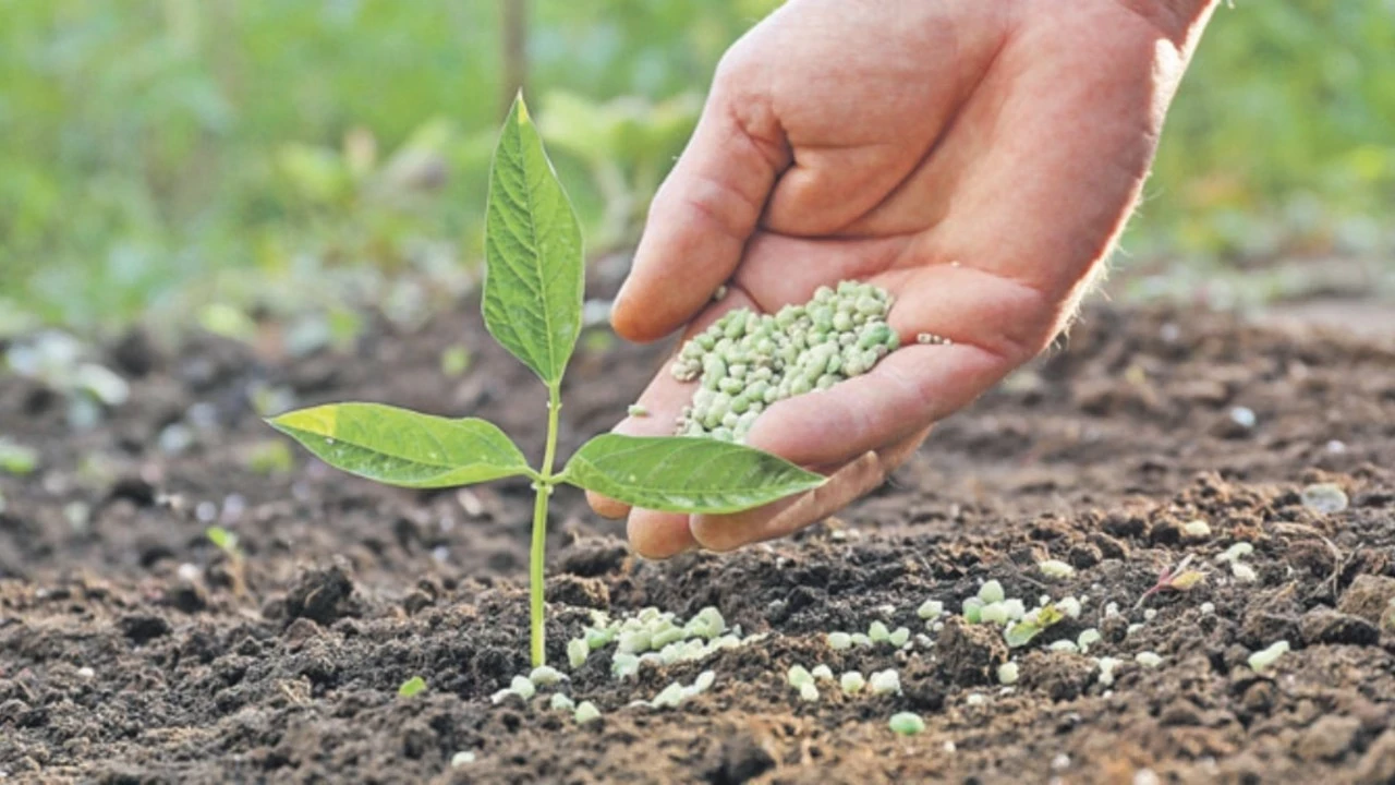 Mutfaktaki yangın körükleniyor! Savaş, gübre krizini getirdi: Sofrada fiyatlar arttı
