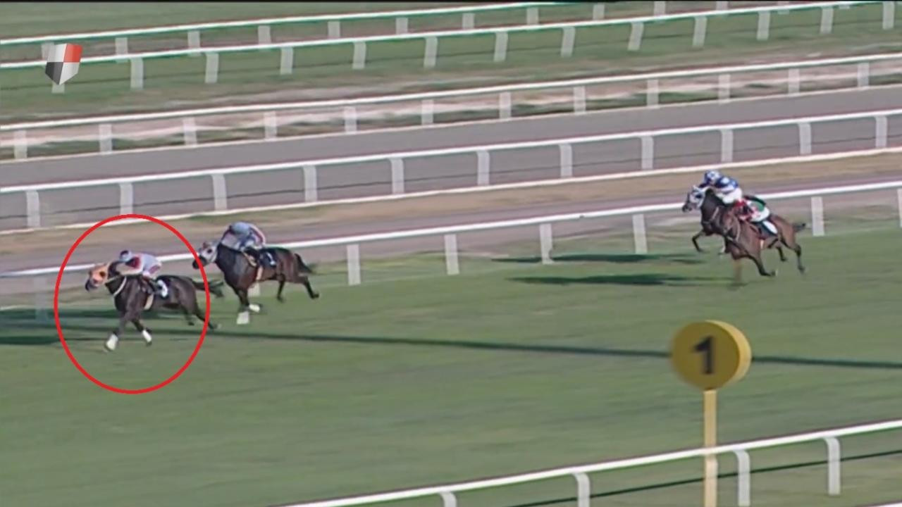 Aşevinde yemek olan yarış atının sahibine ceza şoku!