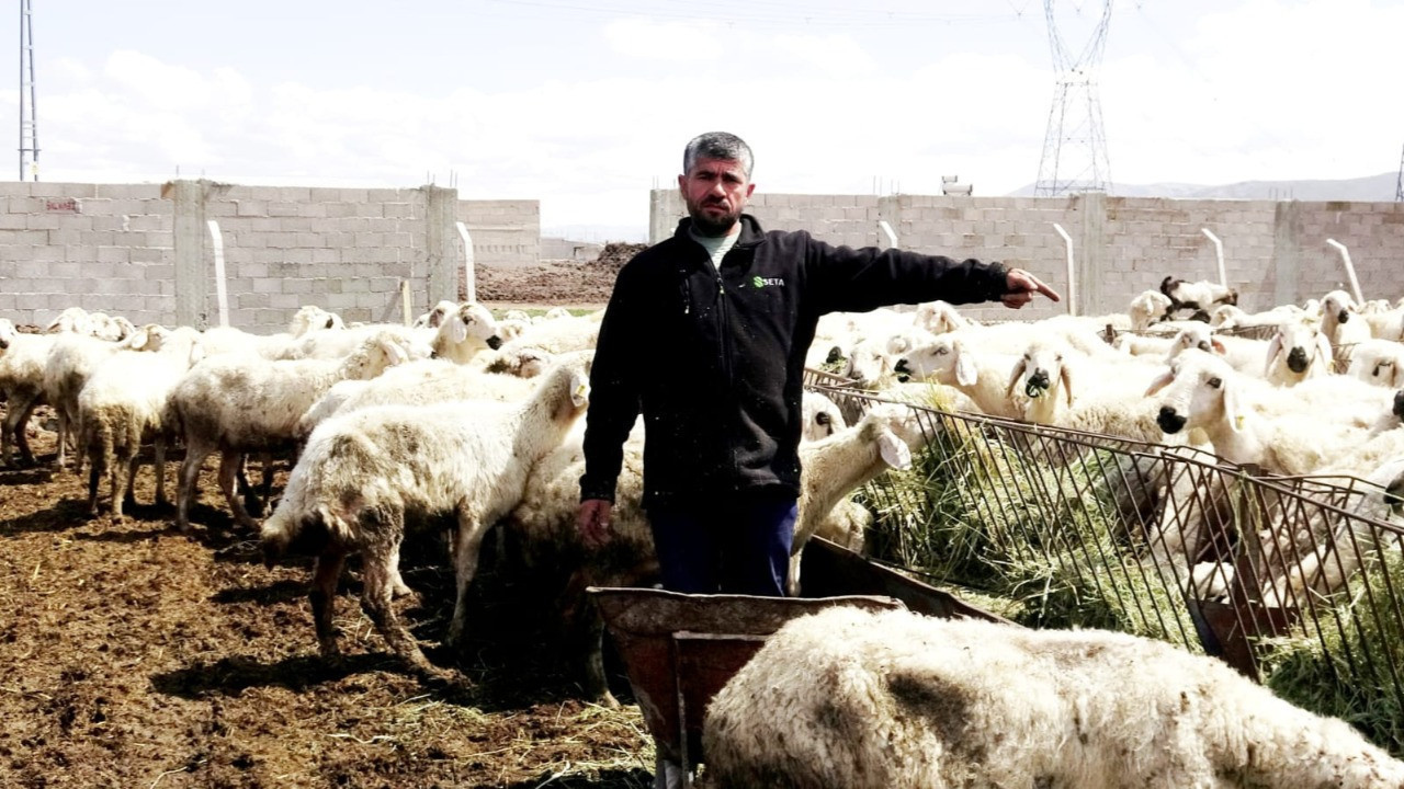 Maaş var işçi yok! Besicilerden 80 bin lira maaşla çoban isyanı