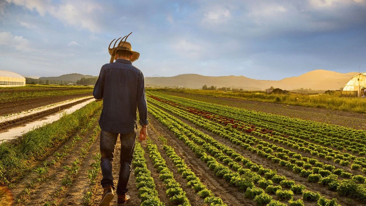 Tarımcılık için dev proje! 40 bin genç yapay zekalı çiftliklerle tarıma kazandırılacak: Maaş desteği de olacak