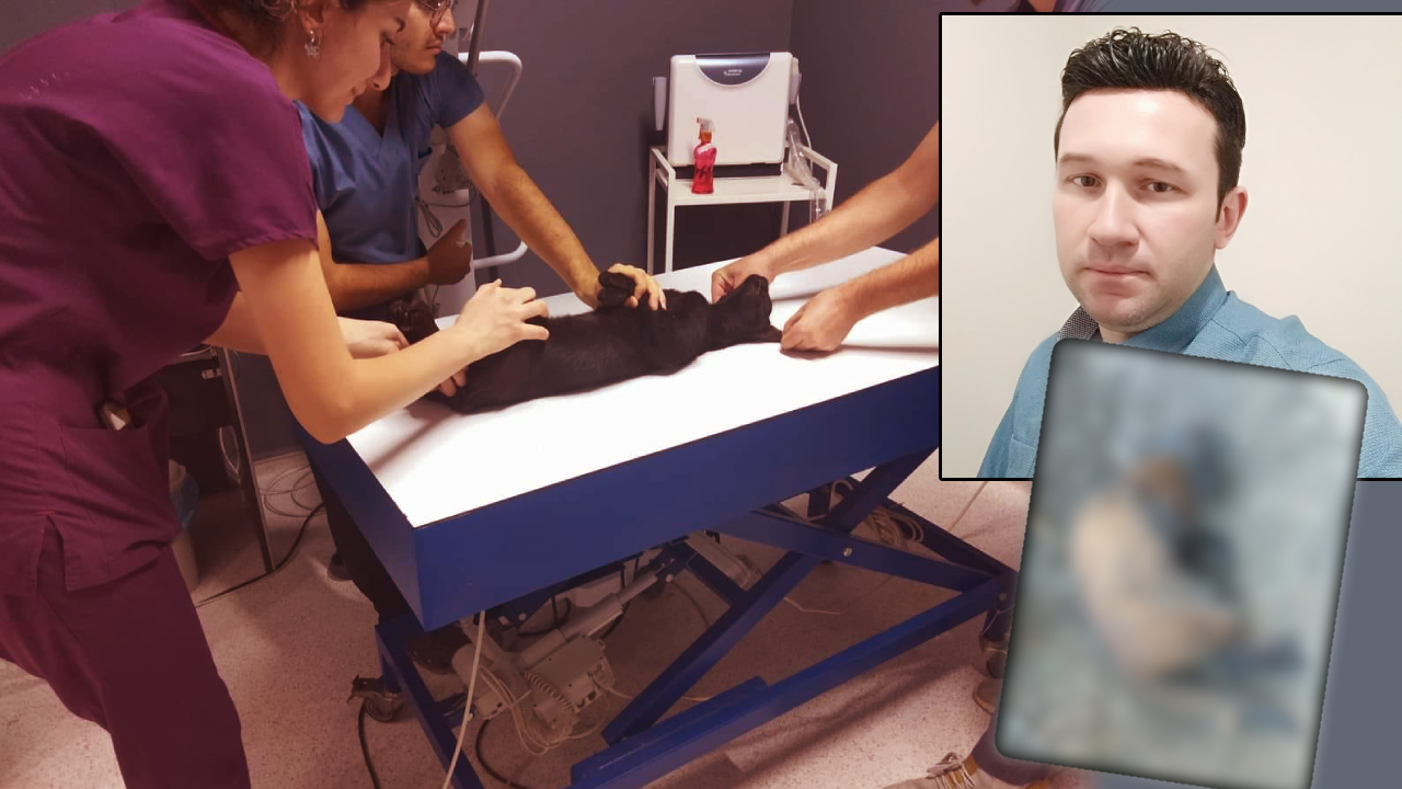 Kan donduran olay! Yıllarca sokak kedilerini av tüfeğiyle katletti