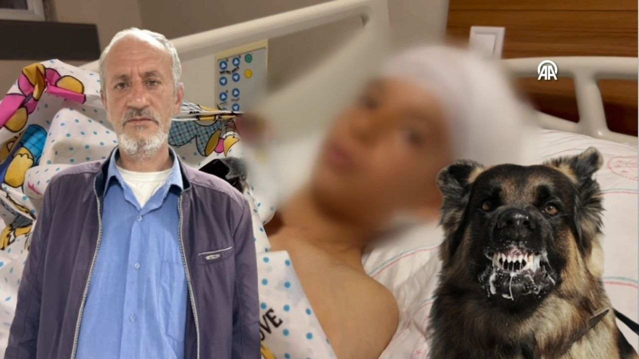 Van'da köpek vahşeti! 10 yaşındaki çocuk yaralandı, kuzenini köpekler yedi! "Eşim bağırdı, 'çocuğu köpekler yiyor' diye"