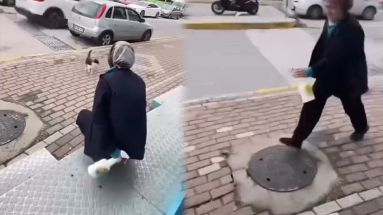 Sosyal medyada infial yaratmıştı! Kedinin gözüne sprey sıkan cani hakkında karar