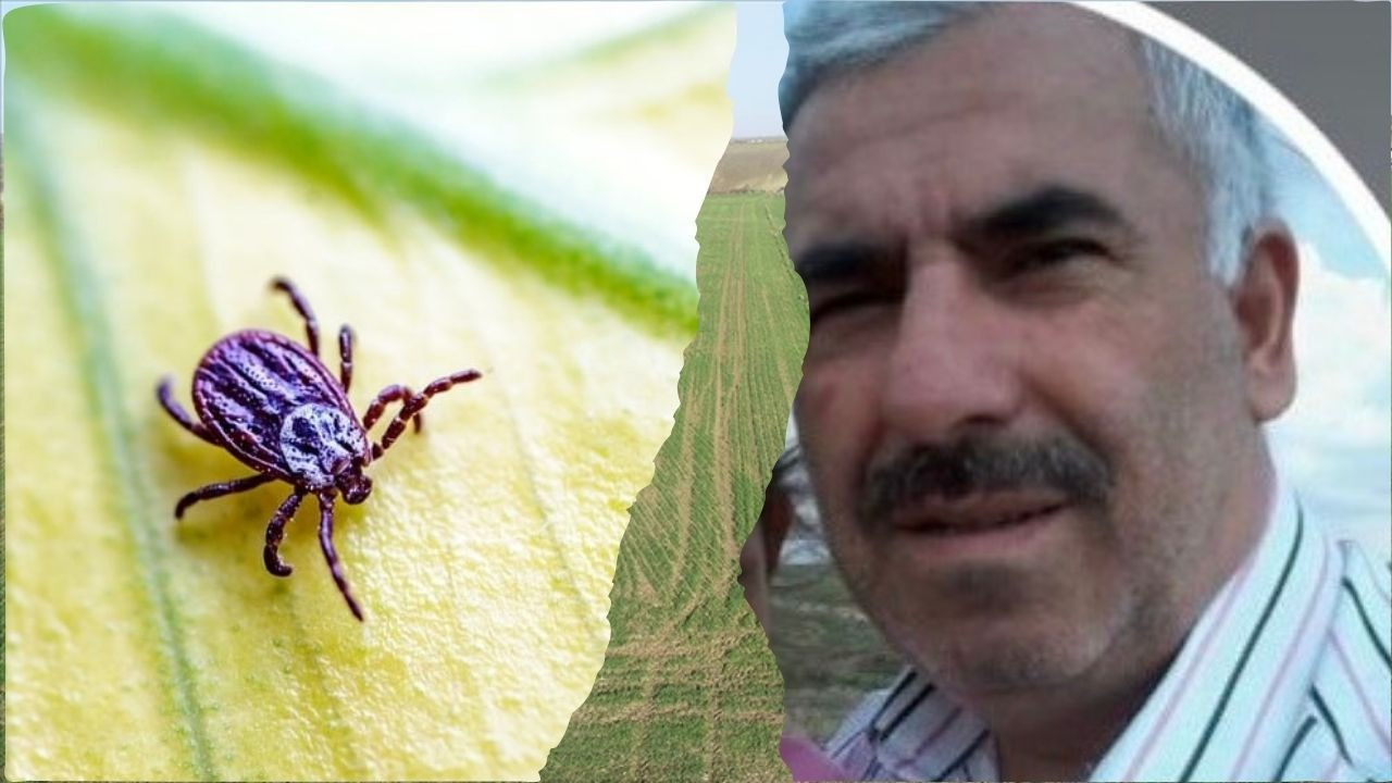 Kene can almaya devam ediyor! Sivas'ta 60 yaşındaki adam öldü