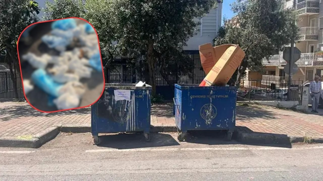 Vicdansızlık! İzmir'de çöp konteyneri vahşeti ortaya çıkardı: Poşetlerde 33 ölü kedi bulundu