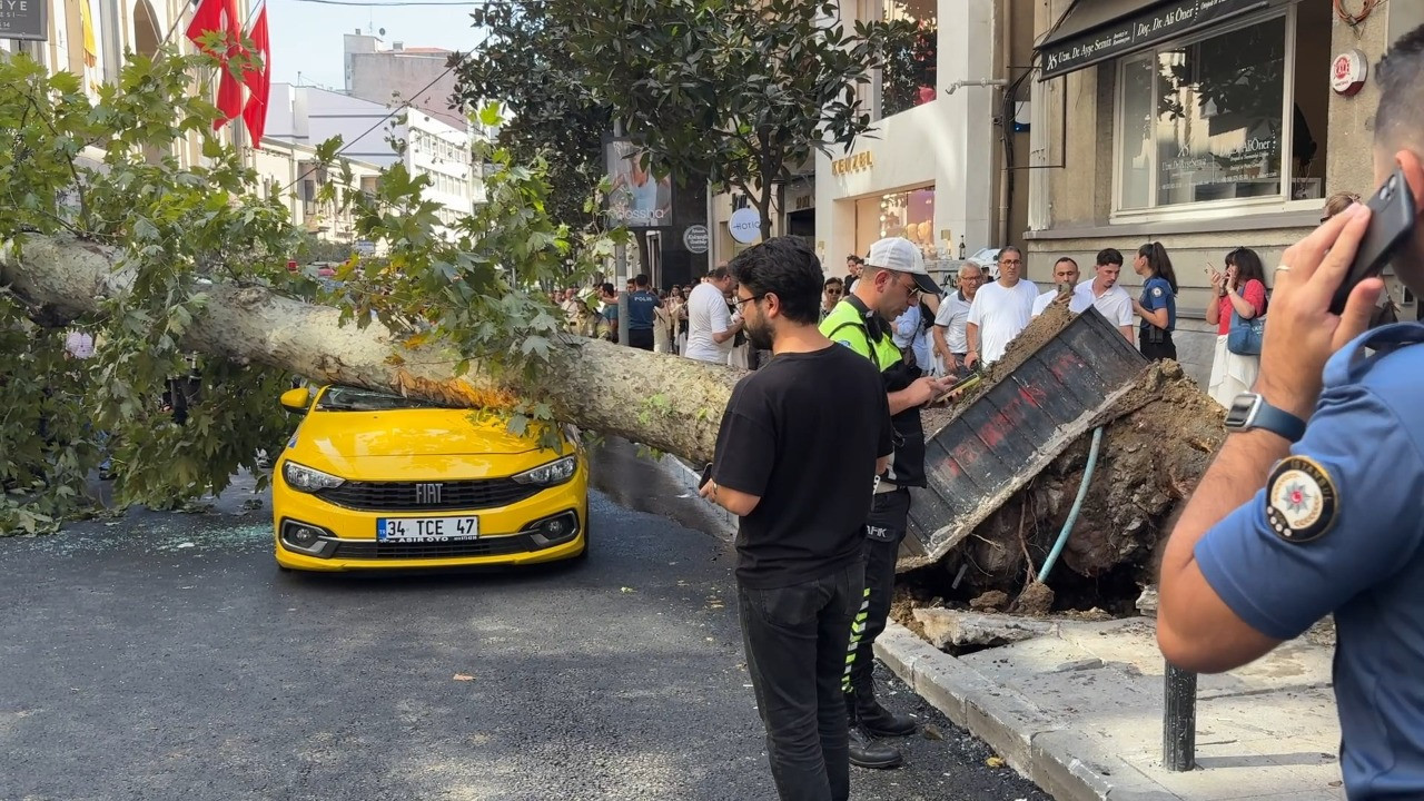 Şişli’de sokak ortasında panik: Ağaç 2 aracın üzerine devrildi