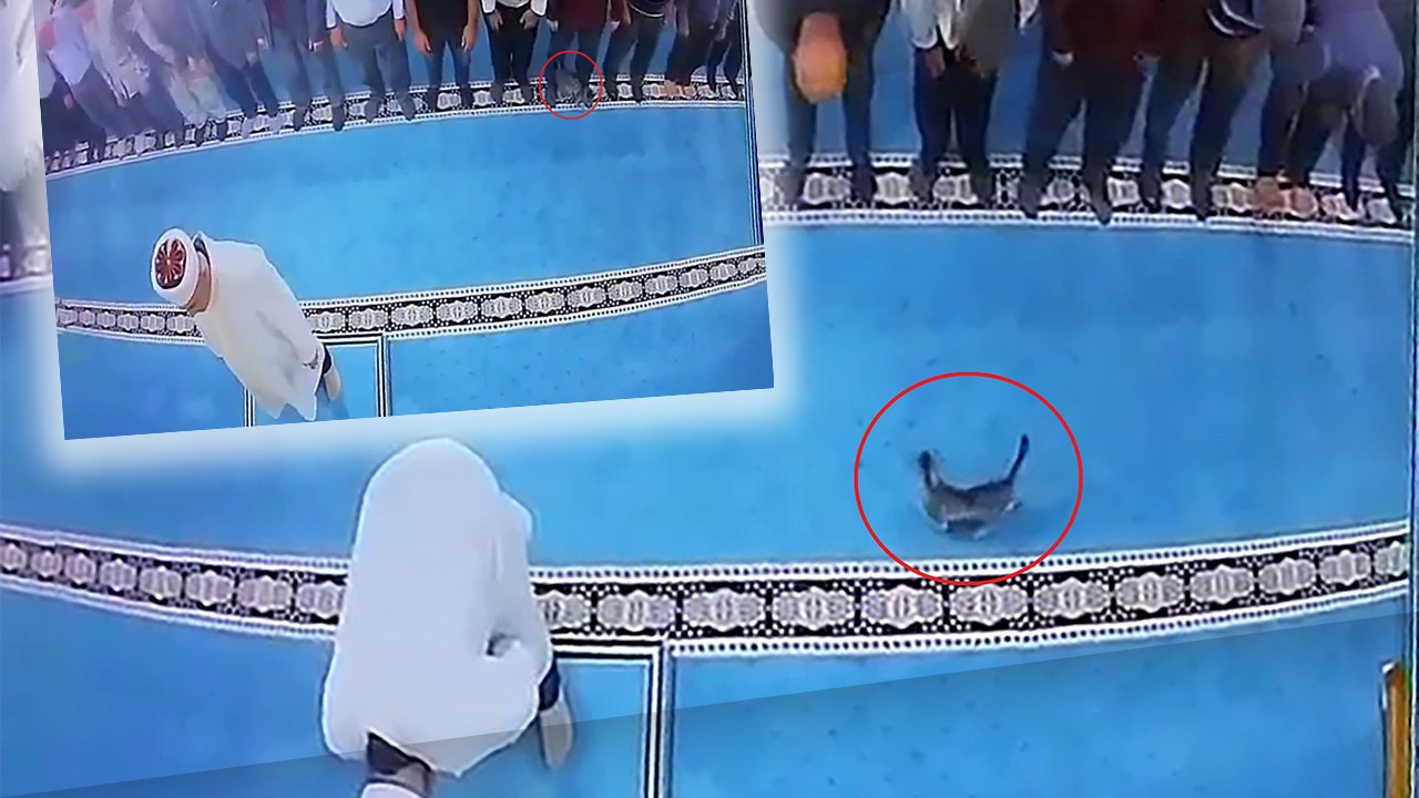 Sosyal medyada infiale neden oldu! Namaz sırasında canilik: Kediyi tekmeleyip imamın kafasına attı