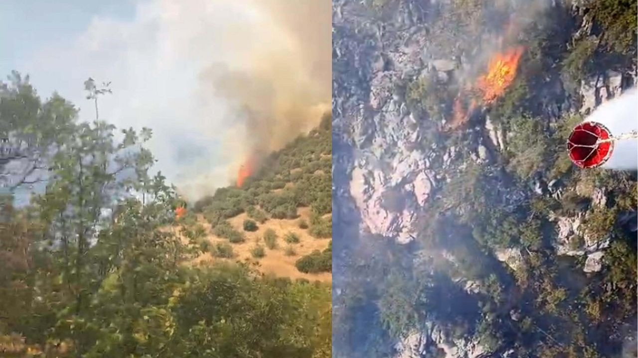 Balıkesir ve Antalya'da orman yangını! Ekipler havadan ve karadan müdahale ediyor