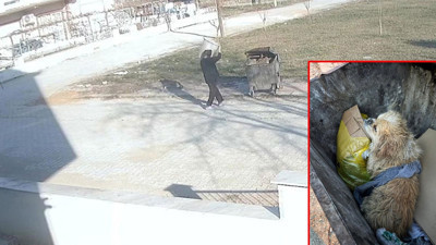 Köpek dehşeti yaşadı! Çöp konteynerinde ayakları iple bağlanmış halde bulundu