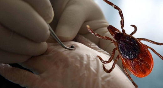 Uzman isimden "KKKA" uyarısı! Yağışlı havalarda dikkat etmezseniz virüs kapabilirsiniz