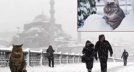 İstanbul’da kar yağışı hızlanarak devam edecek: Valilikten yeni açıklama geldi