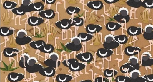 Resimdeki saklı şemsiyeyi bulmak için 5 saniyeniz var!