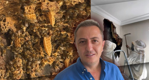 Binanın duvarında akıl almaz keşif! Duvarı yıkarken karşılaştılar, adeta hazine buldular