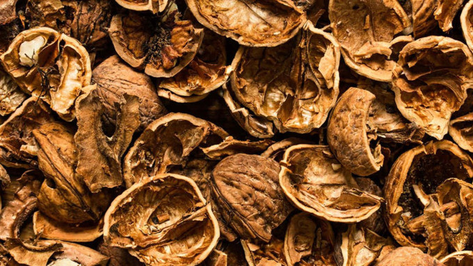 Kabuğunu atmayın dişinize sürün! Sararmış dişleri bembeyaz yapan doğal yöntem bulundu. Dişleriniz anında ışıl ışıl parlayacak