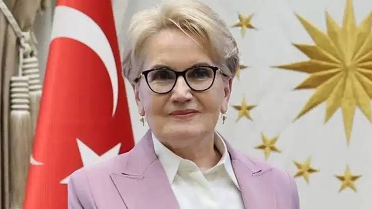 Yeniden sahalarda! Meral Akşener'in vakfı resmen tescil edildi