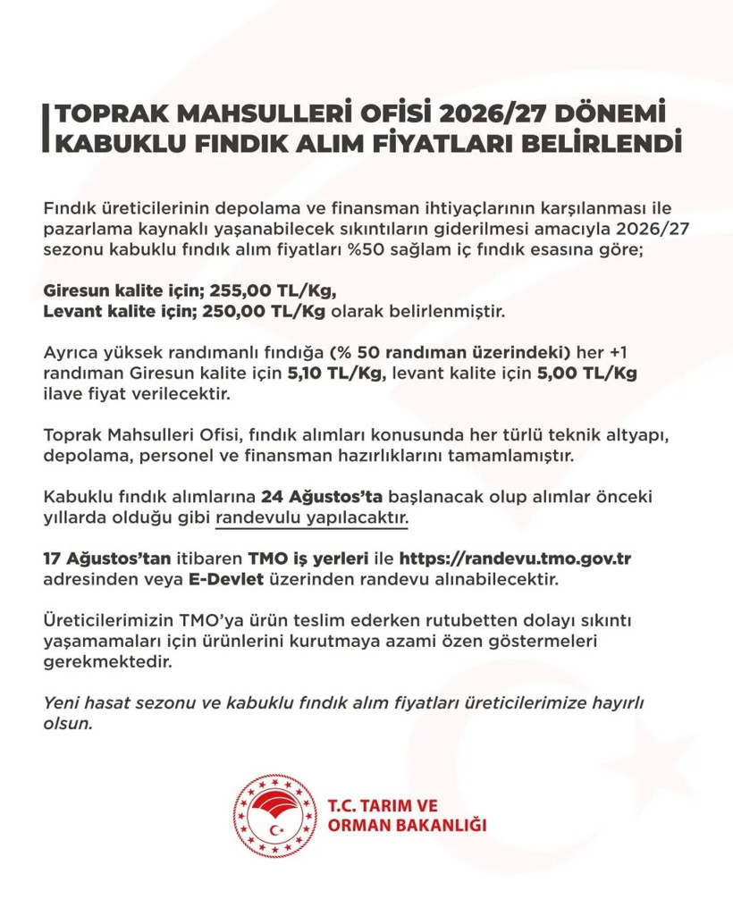 Fındık &uuml;reticisinin g&ouml;z&uuml; kulağı TMO'daydı! Fındık alım fiyatları ne kadar oldu? İşte detaylar
