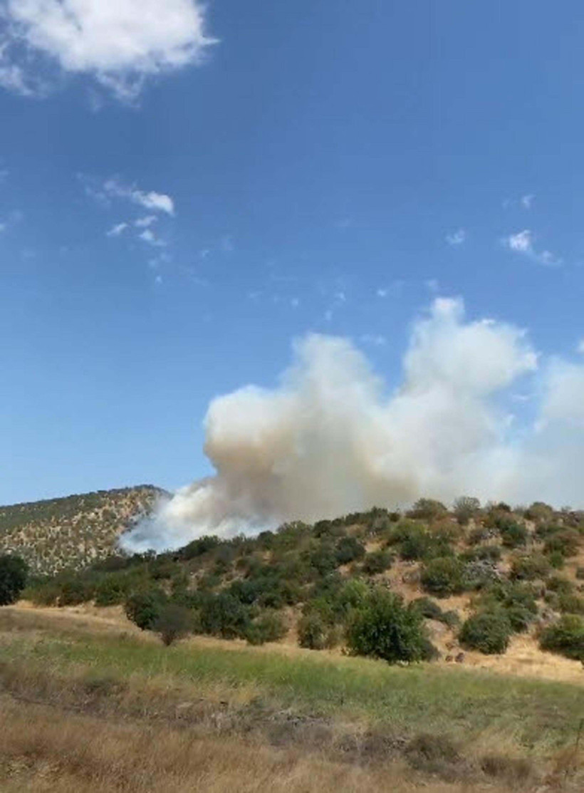 Balıkesir ve Antalya'da orman yangını! Ekipler havadan ve karadan m&uuml;dahale ediyor - Resim : 2