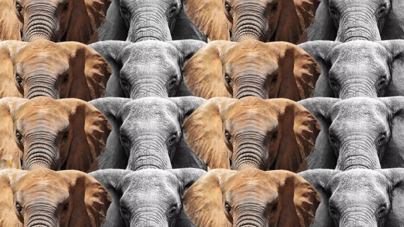 Dünyanın en zor testini çözmek 7 saniyen var! Deneyen her 100 kişiden 99'u başarısız oldu!