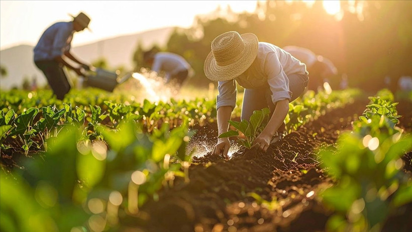 Mutfaktaki yangın körükleniyor! Savaş, gübre krizini getirdi: Sofrada fiyatlar arttı