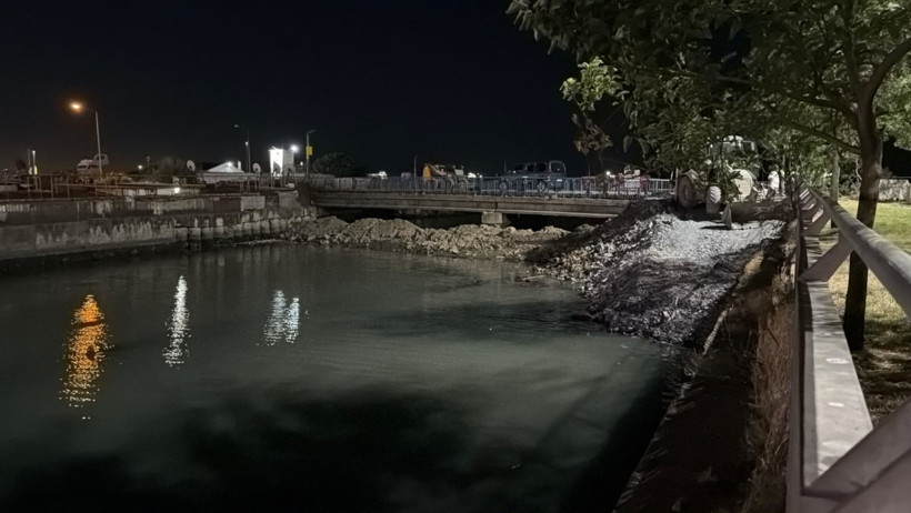 Bakırköy'de korkutan görüntü! Toplu şekilde öldüler: Ekipler araştırıyor