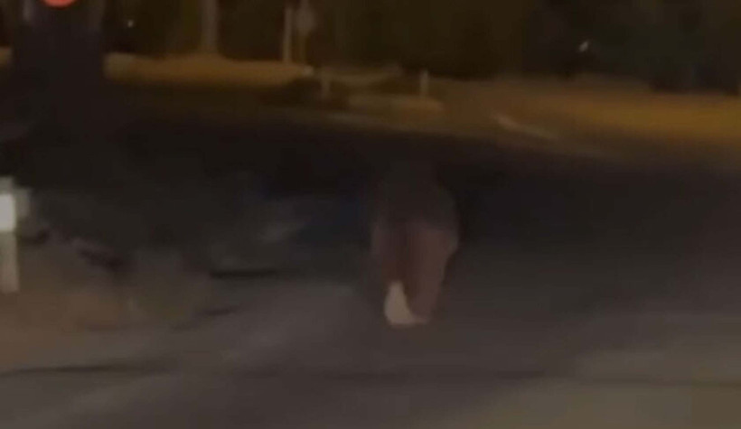İzmir'de akıl almaz olay! Balkonda uyuyan adamı ayı tam 20 metre sürükledi! Yaşlı adam hayatını kaybetti - Resim : 2