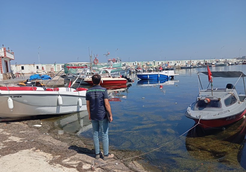 Yalova ve Antalya’da çevre skandalı! Atıklar denize bırakıldı, bakanlıktan ceza kaçmadı - Resim : 2