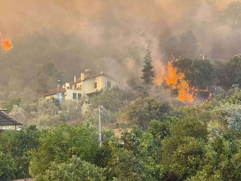 Muğla alevlere teslim olmuştu! Orman Genel Müdürü son durumu açıkladı